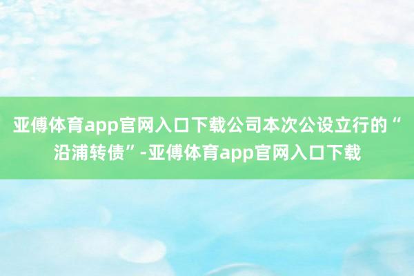 亚傅体育app官网入口下载公司本次公设立行的“沿浦转债”-亚傅体育app官网入口下载