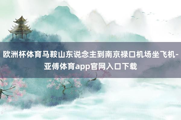 欧洲杯体育马鞍山东说念主到南京禄口机场坐飞机-亚傅体育app官网入口下载
