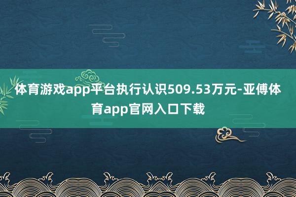 体育游戏app平台执行认识509.53万元-亚傅体育app官网入口下载