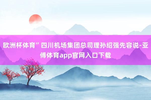 欧洲杯体育”四川机场集团总司理孙绍强先容说-亚傅体育app官网入口下载