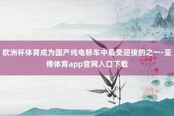 欧洲杯体育成为国产纯电轿车中最受迎接的之一-亚傅体育app官网入口下载