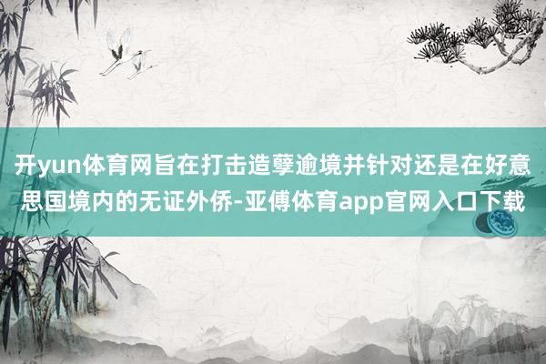 开yun体育网旨在打击造孽逾境并针对还是在好意思国境内的无证外侨-亚傅体育app官网入口下载