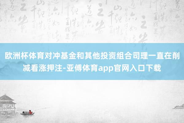 欧洲杯体育对冲基金和其他投资组合司理一直在削减看涨押注-亚傅体育app官网入口下载