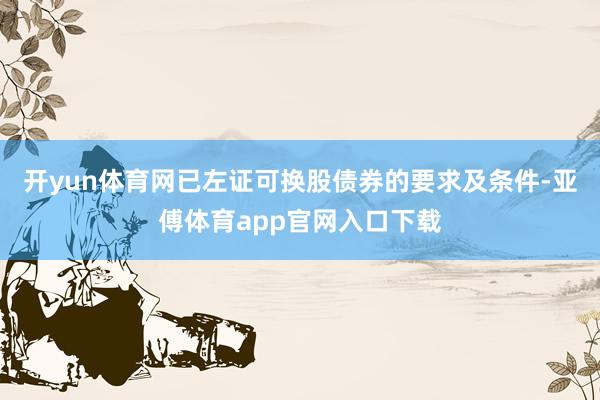 开yun体育网已左证可换股债券的要求及条件-亚傅体育app官网入口下载
