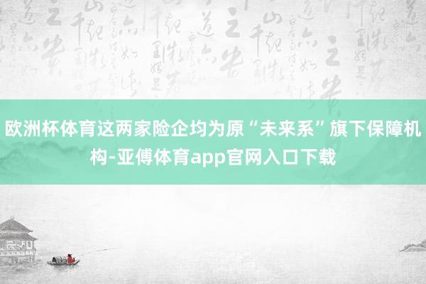 欧洲杯体育这两家险企均为原“未来系”旗下保障机构-亚傅体育app官网入口下载