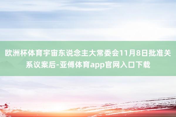 欧洲杯体育宇宙东说念主大常委会11月8日批准关系议案后-亚傅体育app官网入口下载
