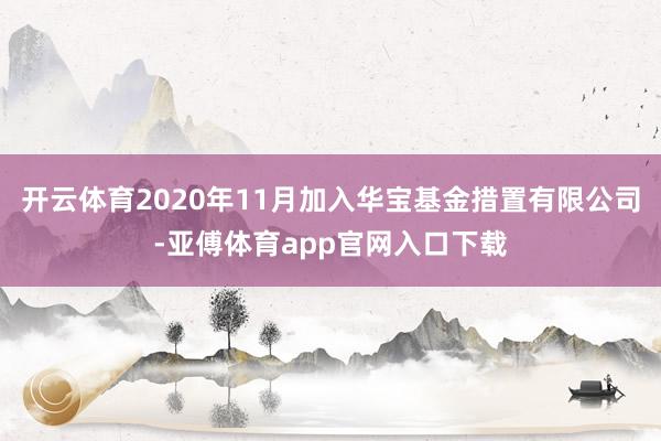 开云体育2020年11月加入华宝基金措置有限公司-亚傅体育app官网入口下载